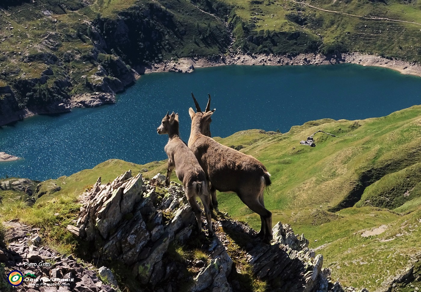 80 Ben sicuri a precipizio sulle rocce con vista sui Laghi Gemelli.JPG